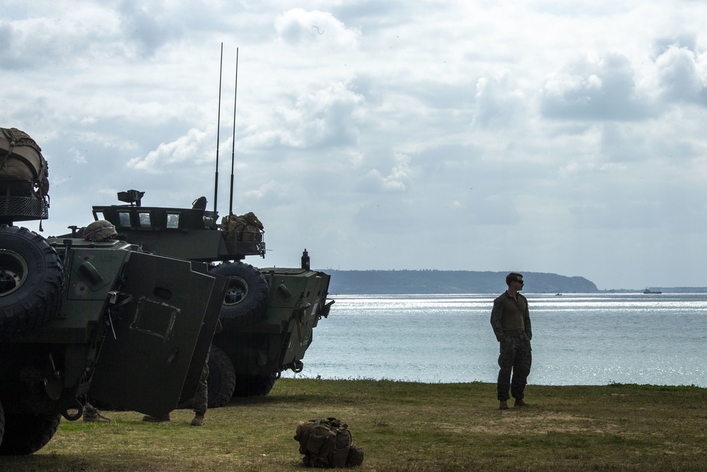 Light Armored Reconnaissance Conduct Beach Landing