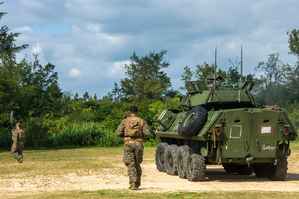 Light Armored Reconnaissance Conduct Beach Landing