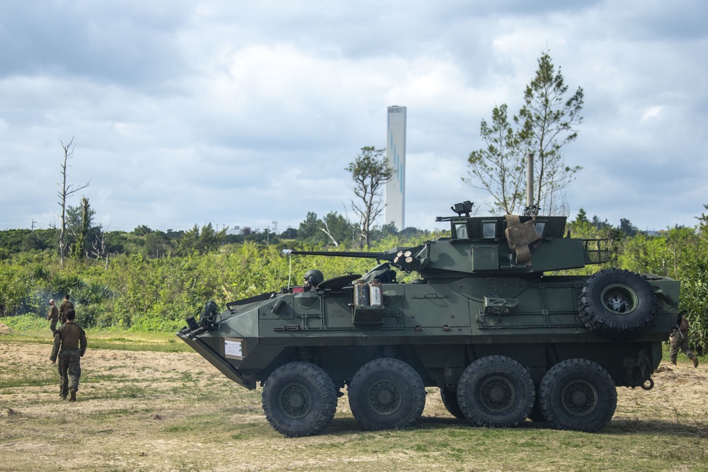 Light Armored Reconnaissance Conduct Beach Landing