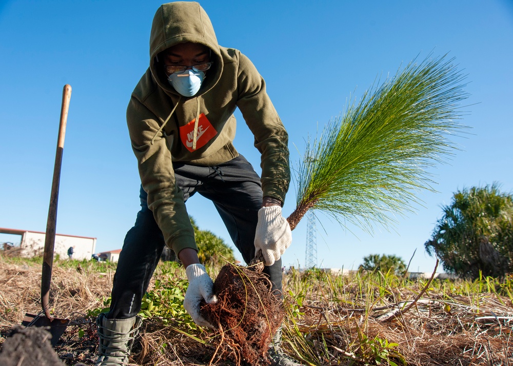 MacDill celebrates 25th Annual Arbor Day