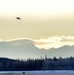 2 more F-35As arrive at Eielson AFB
