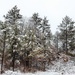 Wintry scenes at Fort McCoy in January 2021