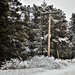 Wintry scenes at Fort McCoy in January 2021