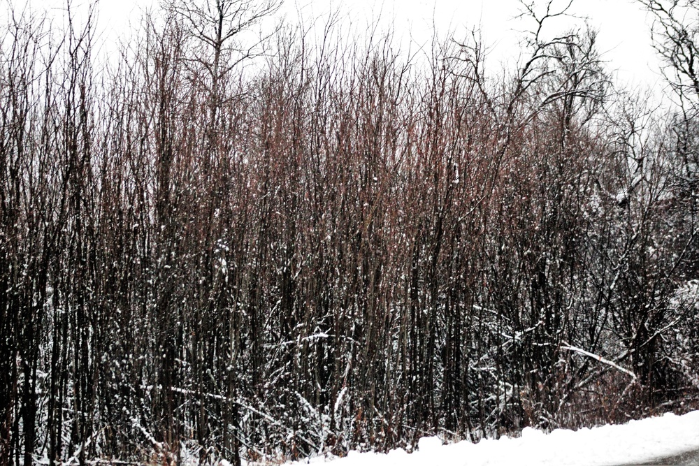 Wintry scenes at Fort McCoy in January 2021