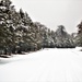 Wintry scenes at Fort McCoy in January 2021