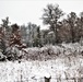 Wintry scenes at Fort McCoy in January 2021