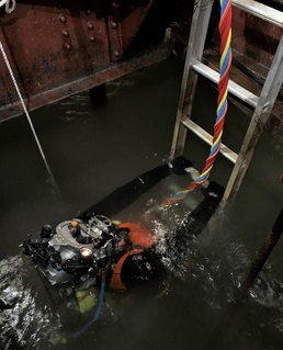 Detroit District dive duties