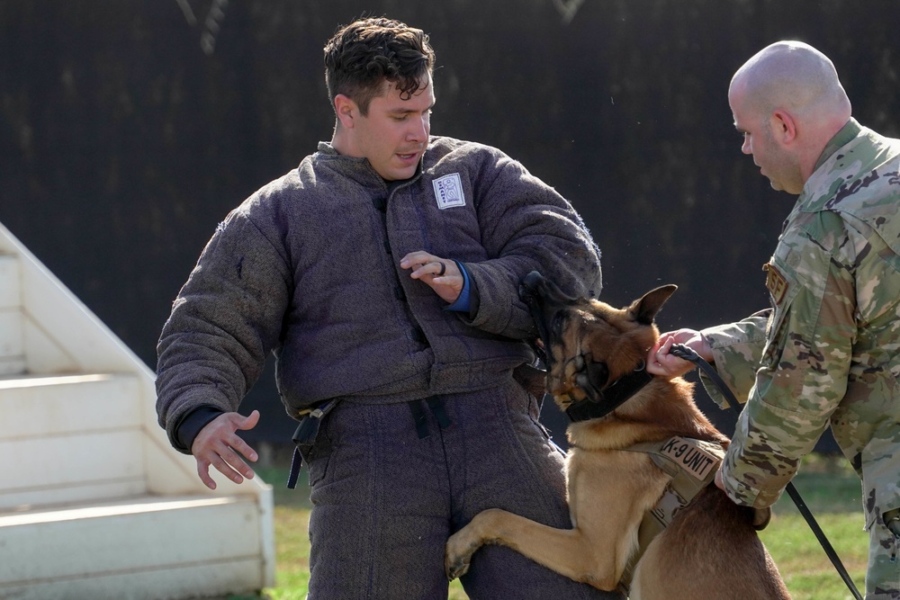 Military Working Dogs