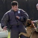 Military Working Dogs