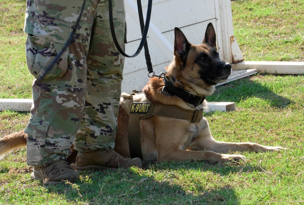 Military Working Dogs
