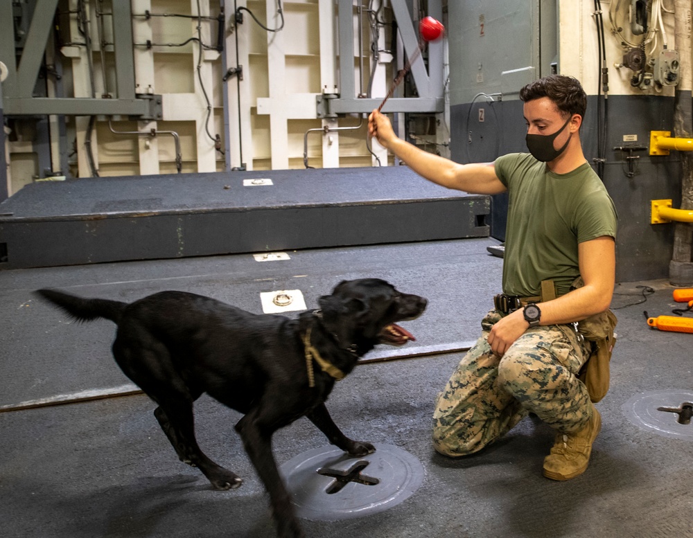 USS America (LHA 6) Sailors and Marines participate in training.
