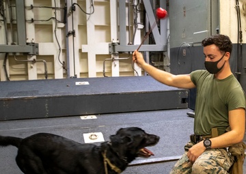 USS America (LHA 6) Sailors and Marines participate in training.