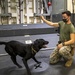 USS America (LHA 6) Sailors and Marines participate in training.