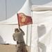 TACR: 15th MEU Marines, Sailors set up forward operating base at Camp Buehring, Kuwait