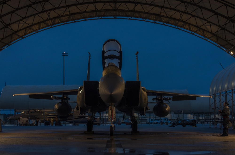 DVIDS Images 4FW, ACC, Flightline, SJAFB, F15 [Image 5 of 5]