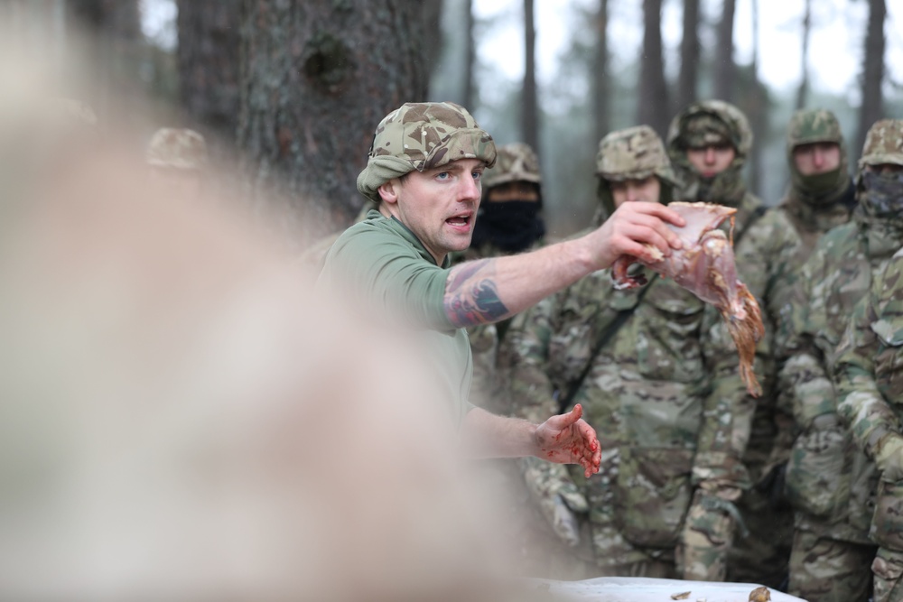 UK Soldiers sharpen survival skills