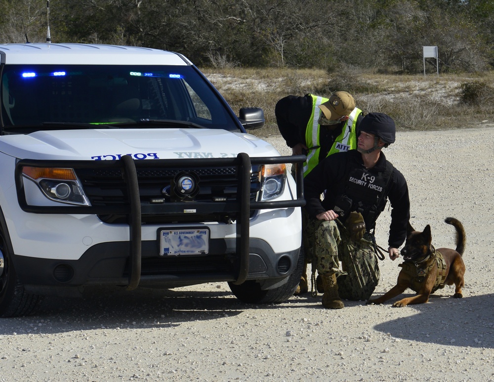 NAS Pensacola Exercise Feb. 2