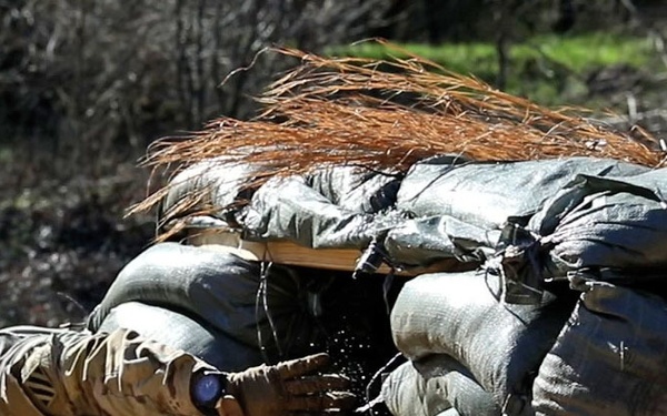Task Force 1-28 “Black Lions” conduct EIB qualification