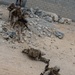 Patrolling The Mojave: V35 Urban Assault Lane Training