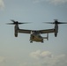 Riggers and Recon Marines jump over Ie Shima