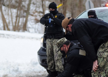 Citadel Shield-Solid Curtain 2021