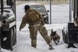 Four-Legged Wingmen: Misawa's Own Military Working Dogs