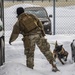 Four-Legged Wingmen: Misawa's Own Military Working Dogs