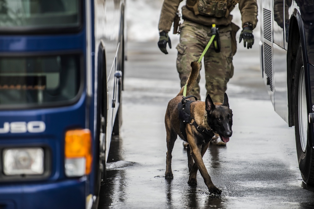 Four-Legged Wingmen: Misawa's Own Military Working Dogs