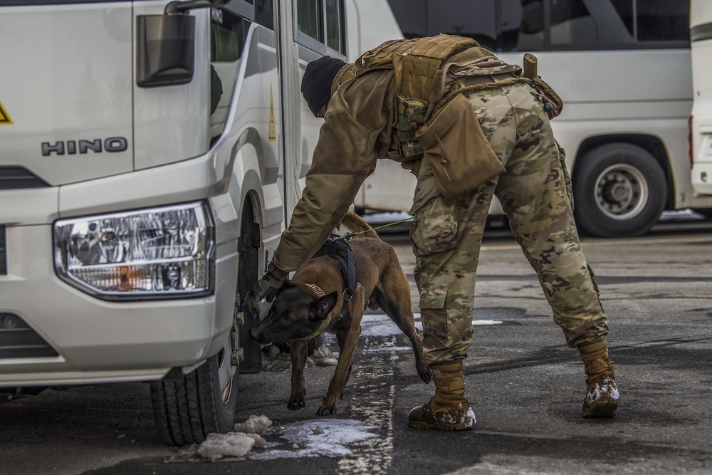 Four-Legged Wingmen: Misawa's Own Military Working Dogs
