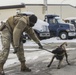 Four-Legged Wingmen: Misawa's Own Military Working Dogs