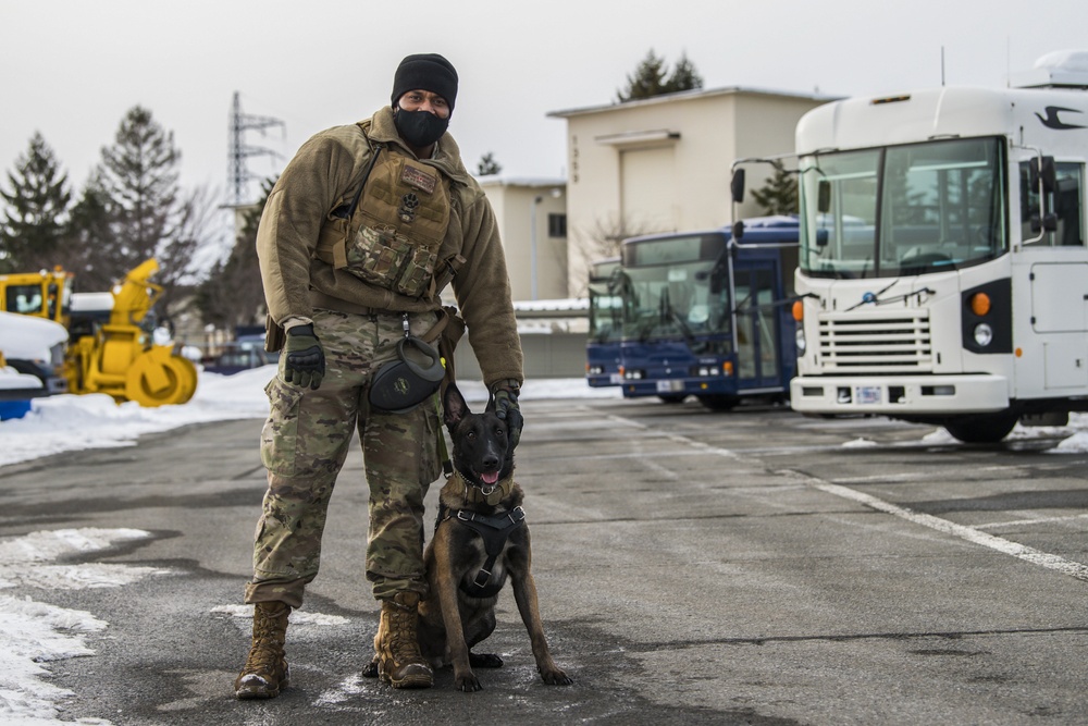 Four-Legged Wingmen: Misawa's Own Military Working Dogs
