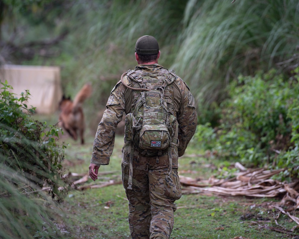 K9s train at Pacific Defender 21