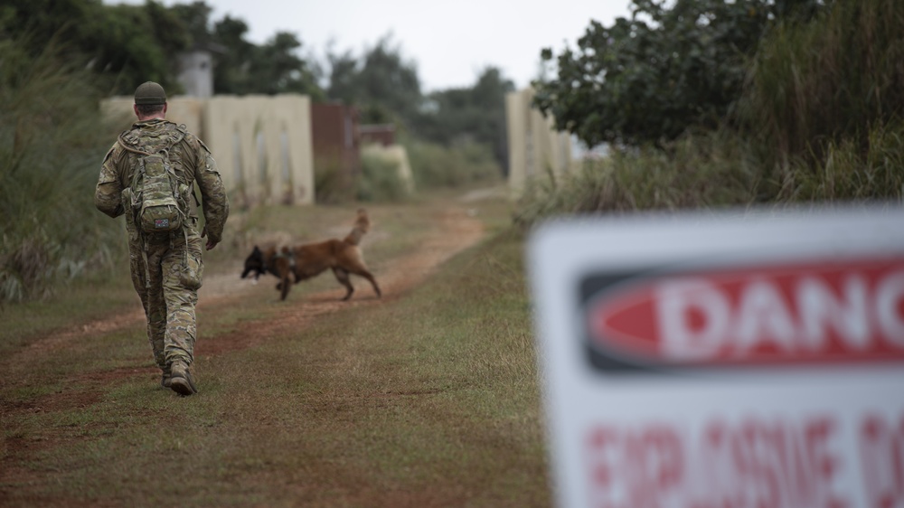 K9s train at Pacific Defender 21