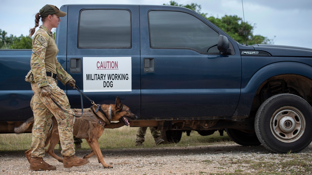 K9s train at Pacific Defender 21