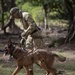 K9s train at Pacific Defender 21