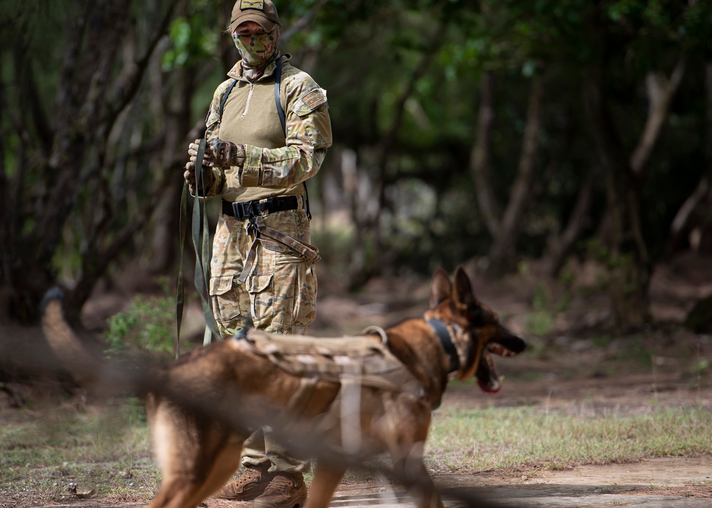 K9s train at Pacific Defender 21