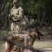 K9s train at Pacific Defender 21
