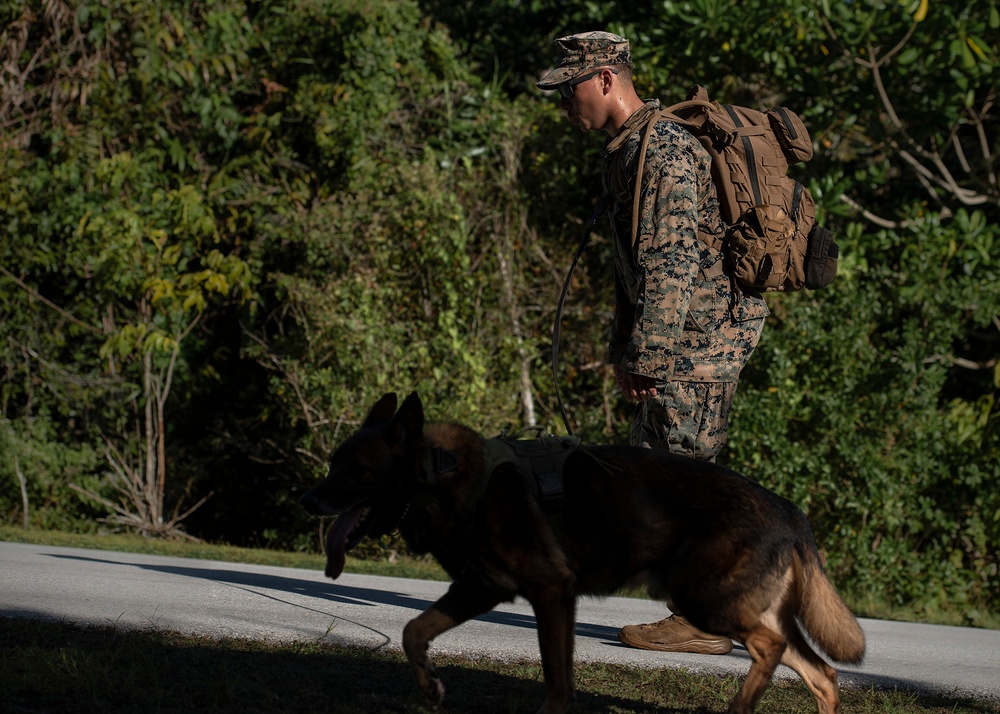 OSI Memorial Ruck