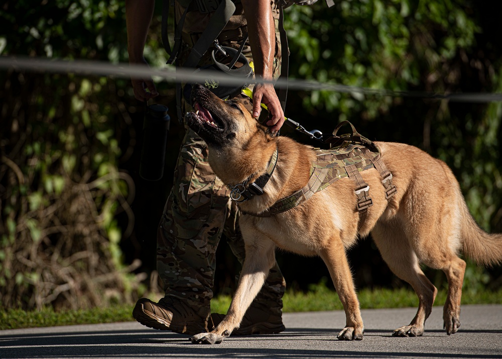 OSI Memorial Ruck