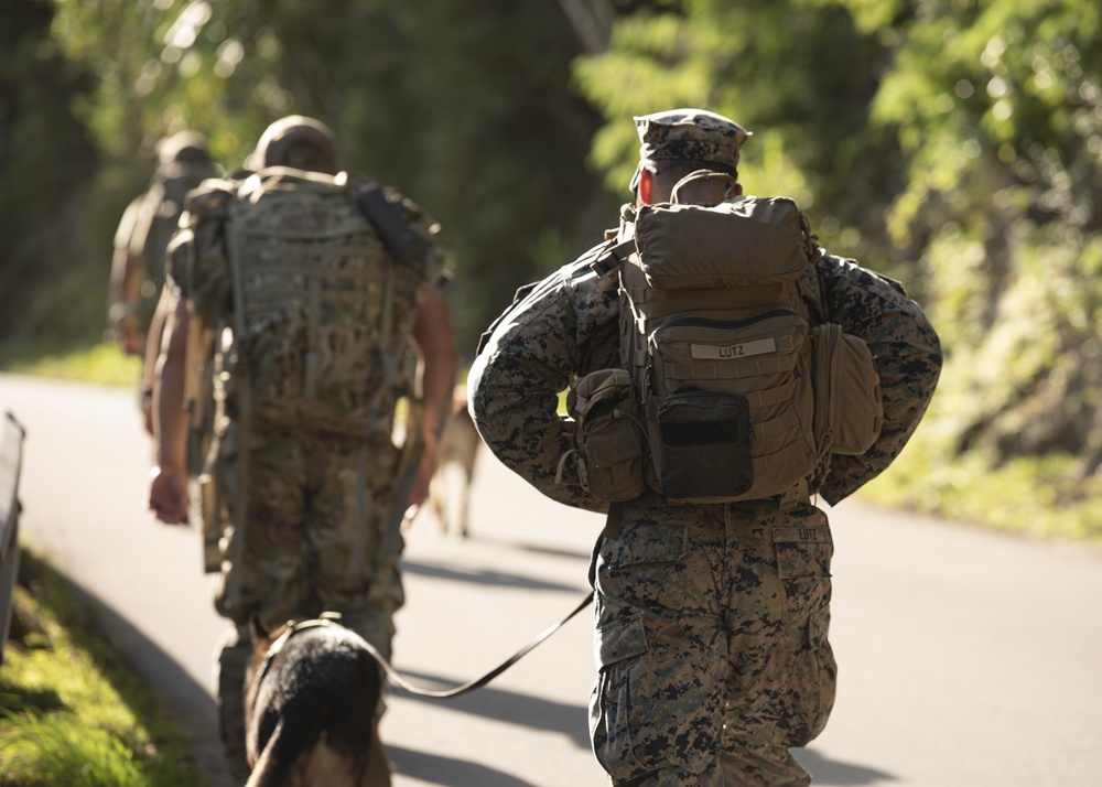 OSI Memorial Ruck