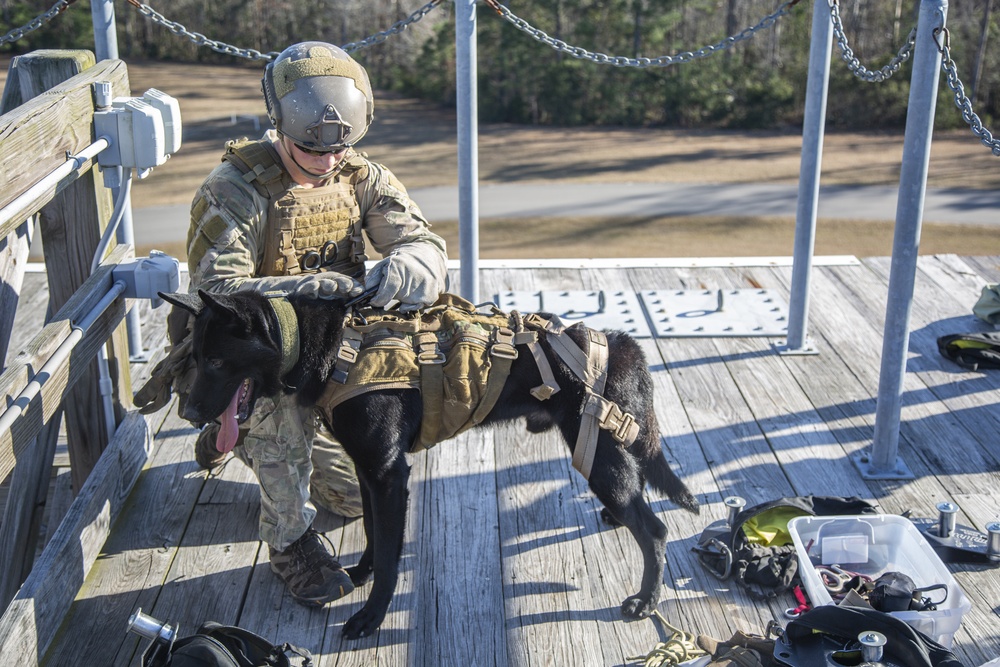 SOCS-D SOF Level 1: Amphib Phase