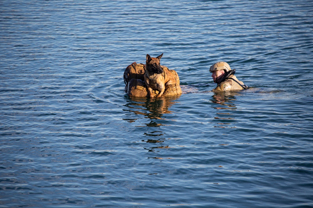 SOCS-D SOF Level 1: Amphib Phase