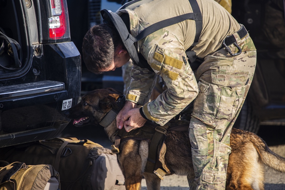 SOCS-D SOF Level 1: Amphib Phase