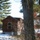 Cabins at Fort McCoy's Pine View Campground