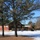 Cabins at Fort McCoy's Pine View Campground