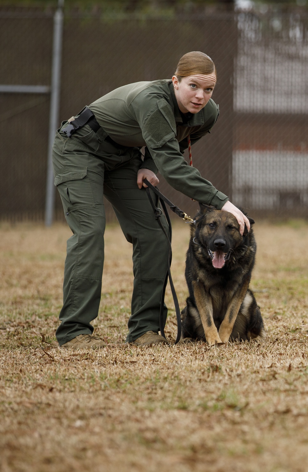 Paws on the ground: Military Working Dog handler experience