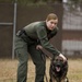 Paws on the ground: Military Working Dog handler experience