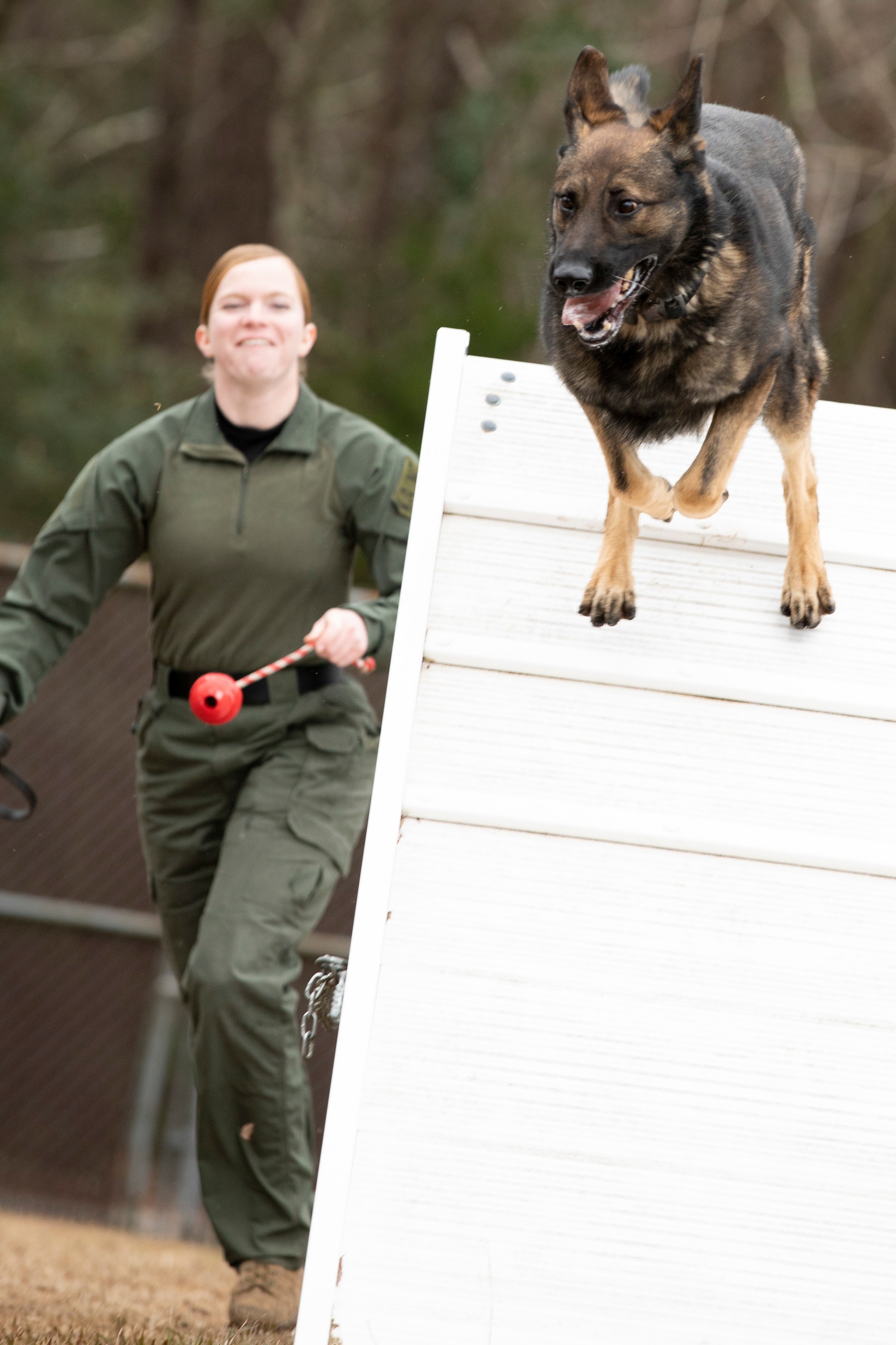 FileTraining Unleashed Marine dog handler shares bond with canine  131015MNP085006jpg  Wikimedia Commons