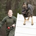 Paws on the ground: Military Working Dog handler experience