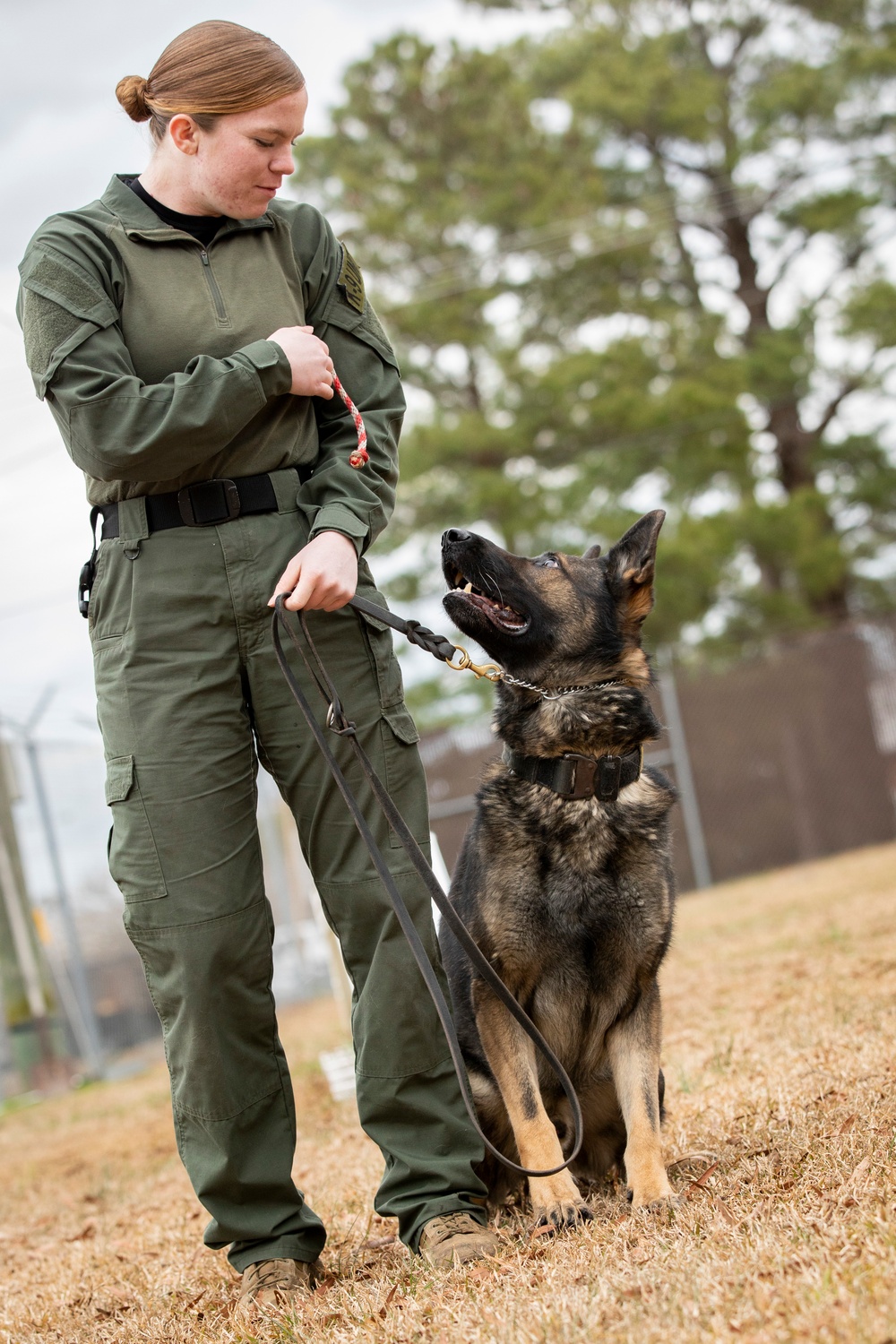 DVIDS Images Paws on the ground Military Working Dog handler experience Image 4 of 9